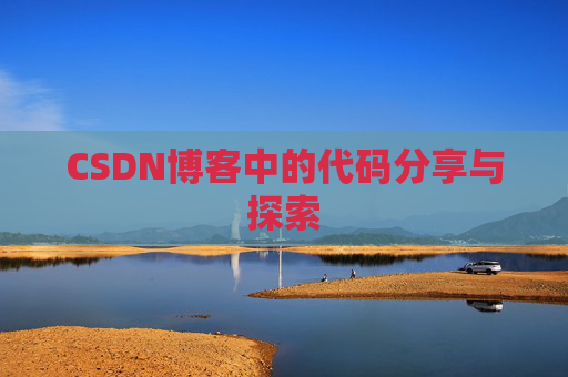 CSDN博客中的代码分享与探索